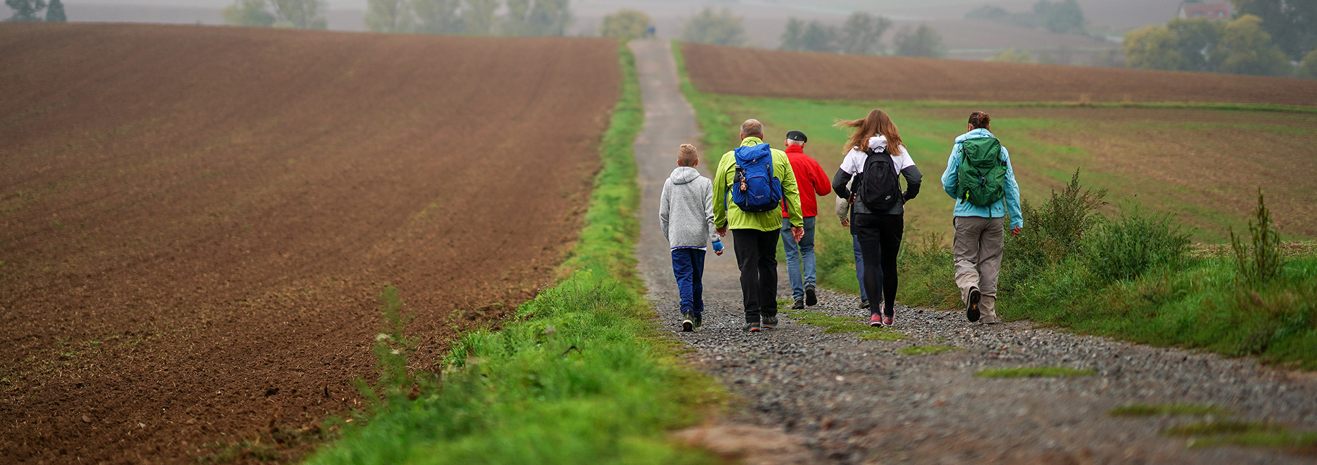 Erwachsene wandern einen Feldweg entlang.
